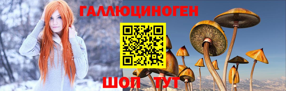 Псилоцибиновые грибы прущие грибы Белорецк
